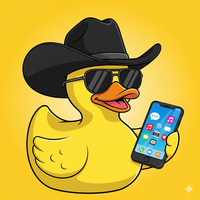 Mobil és webes alkalmazások